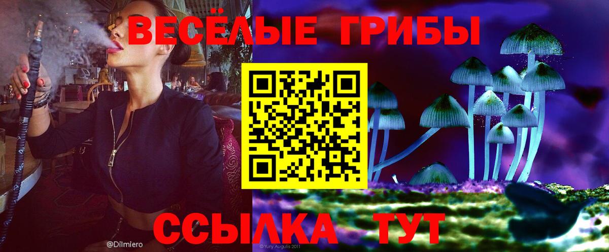 Галлюциногенные грибы прущие грибы Дмитров